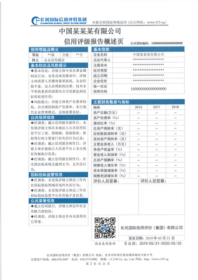 信用评级报告